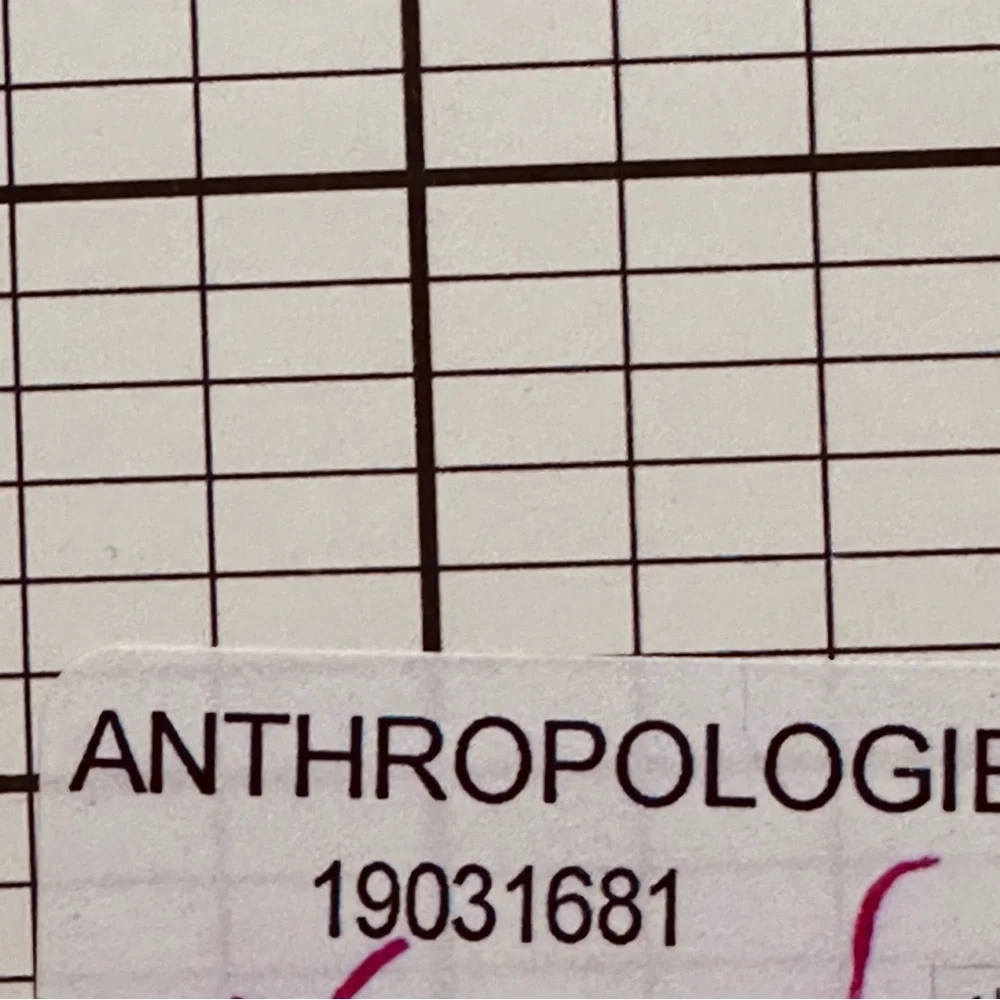 Anthropologie | Planner | Planner Set